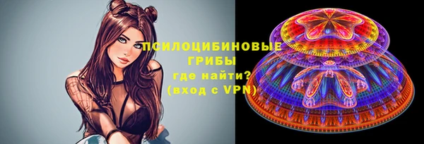 a pvp Богородицк