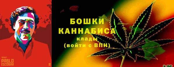 apvp Богданович