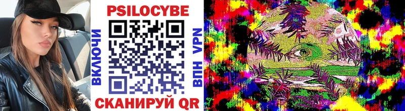 Псилоцибиновые грибы Psilocybe  купить  сайты  Яхрома 